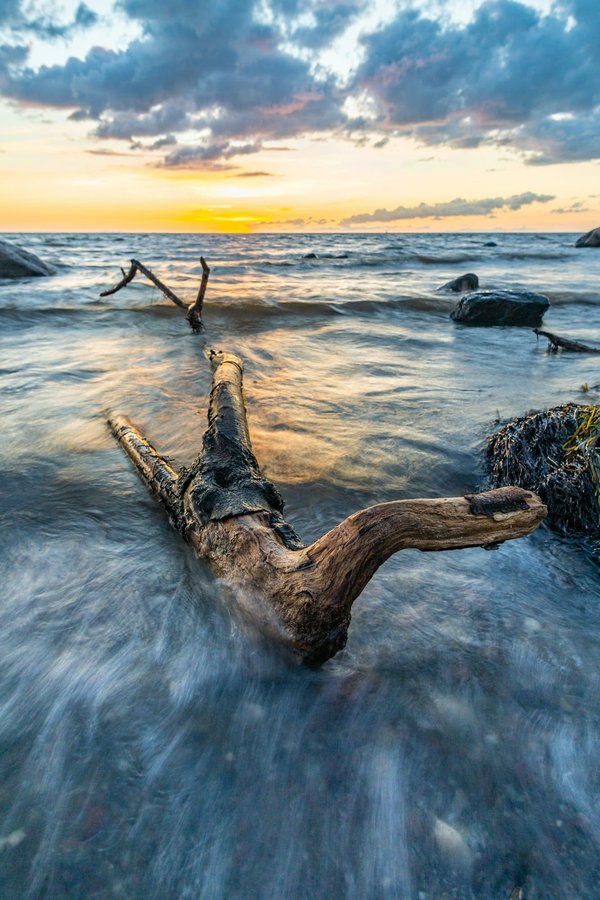 Découvrez le meilleur poêle a pellet Nord Pas de Calais
